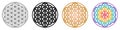 Flower of life geometric pattern ornament from overlapping circles. Outline black golden and rainbow version Royalty Free Stock Photo