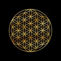 Flower of life gold symbol isolated on black background. Sacred geometry golden symbol Royalty Free Stock Photo