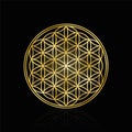 Flower Of Life Golden Symbol Black Background Royalty Free Stock Photo