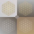Flower of Life Illustrations in Gold and Gray Colored Gradients - 4 Items Sacred Geometry on Background