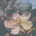 Flower of life - the interlocking circles ancient symbol in front of blurred photorealistic nature background. Sacred geometry - m Royalty Free Stock Photo