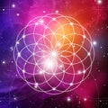 Flower of life - the interlocking circles ancient symbol on outer space background. Sacred geometry. The formula of nature.