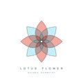 Flower of life or lotus flower, sacred geometry Royalty Free Stock Photo
