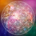 Flower of life and metatron sacred geometry Royalty Free Stock Photo