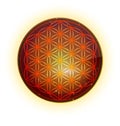 Flower of Life pandant Royalty Free Stock Photo