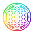 Flower Of Life Rainbow Gradient Colors