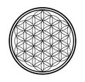 Flower of life - sacred geometry