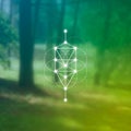 Flower of life sacred geometry illustration with intelocking circles and light dots in front of photographic background. Hipster Royalty Free Stock Photo