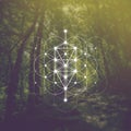 Flower of life sacred geometry illustration with intelocking circles and light dots in front of photographic background Royalty Free Stock Photo