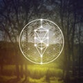 Flower of life sacred geometry illustration with intelocking circles and light dots in front of photographic background