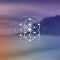 Flower of life sacred geometry illustration with intelocking circles and light dots in front of photographic background. Hipster Royalty Free Stock Photo