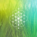 Flower of life sacred geometry illustration with intelocking circles and light dots in front of photographic background. Hipster