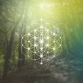 Flower of life sacred geometry illustration with intelocking circles and light dots in front of photographic background. Hipster