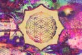 Flower of life sacred geometry mandala spiritual art