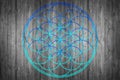 Flower of life