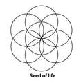 Flower of Life, Seed and Egg of Life, development. Geometrical figures, spiritual symbols and sacred geometry. Royalty Free Stock Photo