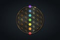 Flower of life and the seven chakras. Gold Sacred Geometry, set chakra points meditation. Colored chakra lights. Yoga, zen