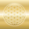 Flower Of Life Shiny Golden Gleaming Glossy Gold