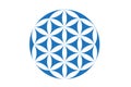 Flower of life symbol vector