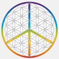 Flower of Life Symbol in Gray Colors, Cosmic Universe Energy Wheel with Peace and Love Symbol Royalty Free Stock Photo