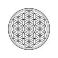 Flower of life symbol isolated on white background.