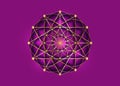 Flower of Life symbol Metatron Merkaba Sacred Geometry. Logo icon Geometric mystic mandala of alchemy esoteric Seed of life sign