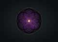 Flower of Life symbol Sacred Geometry. Gold luxury Logo icon round geometric mystic dark purple mandala of alchemy esoteric Seed