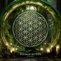 Flower Of Life symbol (sacred geometry) with title.