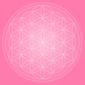 Flower of life symbol. Symbol for spa, meditation and yoga. Mystical and esoteric icons