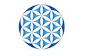 Flower of life symbol vector web image Royalty Free Stock Photo