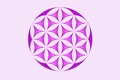 Flower of life symbol vector web image Royalty Free Stock Photo