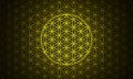 The flower of life symbol yellow Royalty Free Stock Photo