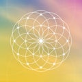 Flower of life. Tree of life. Sacred geometry spiritual new age futuristic illustration Royalty Free Stock Photo