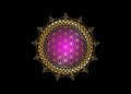 Flower of Life, Yantra Mandala in the lotus flower, Sacred Geometry. Bright golden luxury symbol of harmony and balance. Mystical Royalty Free Stock Photo