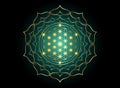 Flower of Life, Yantra Mandala in the lotus flower, Sacred Geometry. Bright golden symbol of harmony and balance. Mystical gold Royalty Free Stock Photo