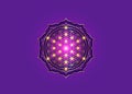Flower of Life, Yantra Mandala in the lotus flower, Sacred Geometry. Bright golden symbol of harmony and balance. Mystical sign Royalty Free Stock Photo