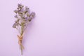 Flower on a lilac background. Twig wrapped in craft rope