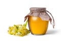 flower of the linden with glass jar of honey Isolated on the white background Royalty Free Stock Photo