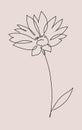 Flower Line Art Minimalist Logo. Thin line floral design element Royalty Free Stock Photo