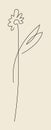 Flower Line Art Minimalist Logo. Thin line floral design element Royalty Free Stock Photo