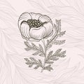 Flower Line Hand Drawn Style. One Object Vintage Design. Elegant Plant William Moriss Drawing Style.