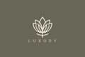 Flower Logo Tulip Abstract Liear Outline Vector Design Royalty Free Stock Photo