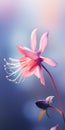 Minimalist Columbine Mobile Wallpaper: Elegant Flower On Blurred Background Royalty Free Stock Photo