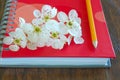 Flower lyrics pencil diary Royalty Free Stock Photo