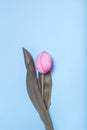 The flower is made of a painted pink egg. Easter minimalistic concept