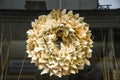 Flower made by paper in Buenos Aires, Argentina