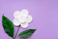 Flower made of white cotton round pads and real green vivid green leaves on purple background