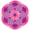 Flower Mandala in Pink Colors