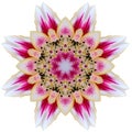 Flower mandala