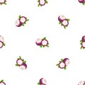 Flower mangosteen pattern seamless vector Royalty Free Stock Photo